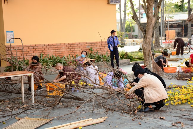 Preparation Activities to Welcome Year of Tiger (part 1)
