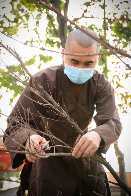 Preparation Activities to Welcome Year of Tiger (part 1)