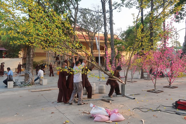 Preparation Activities to Welcome Year of Tiger (part 2)