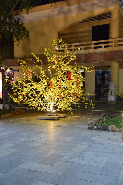 Preparation Activities to Welcome Year of Tiger (part 3)