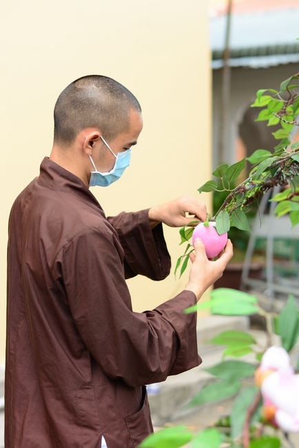 Preparation Activities to Welcome Year of Tiger (part 3)