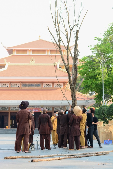 Preparation Activities to Welcome Year of Tiger (part 3)