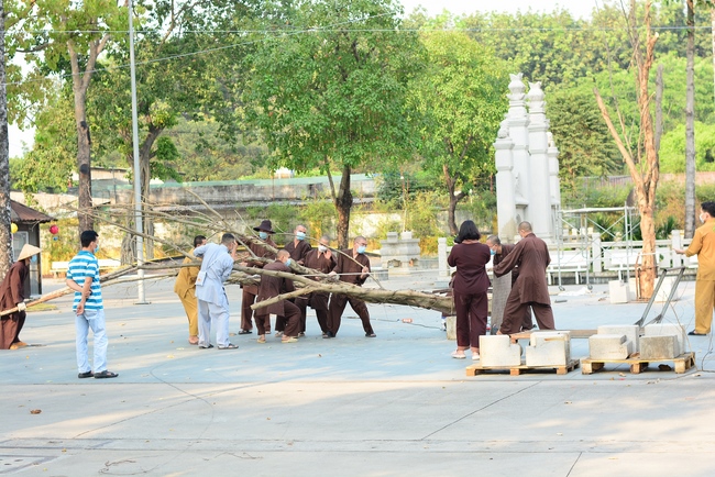 Preparation Activities to Welcome Year of Tiger (part 3)