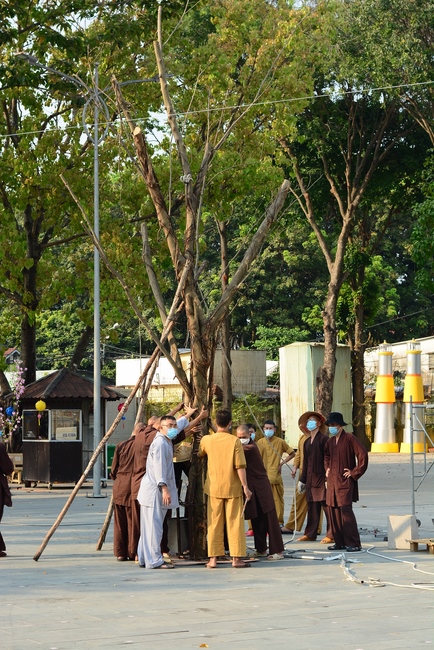 Preparation Activities to Welcome Year of Tiger (part 3)