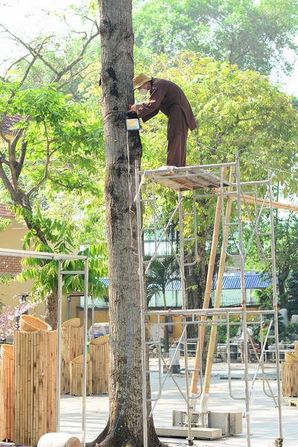 Preparation Activities to Welcome Year of Tiger (part 3)