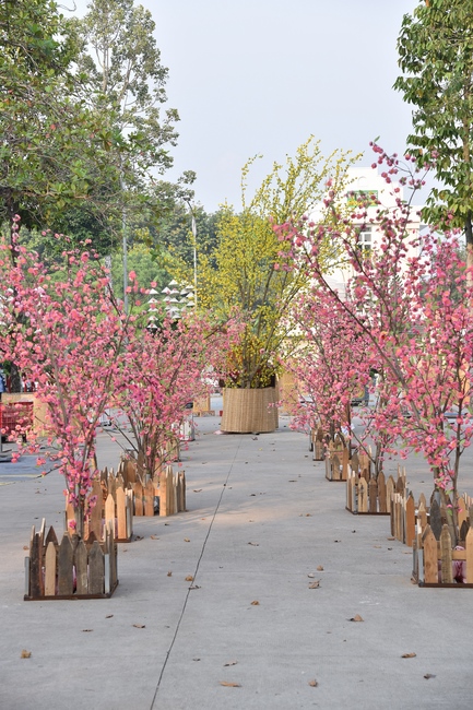 Preparation Activities to Welcome Year of Tiger (part 3)