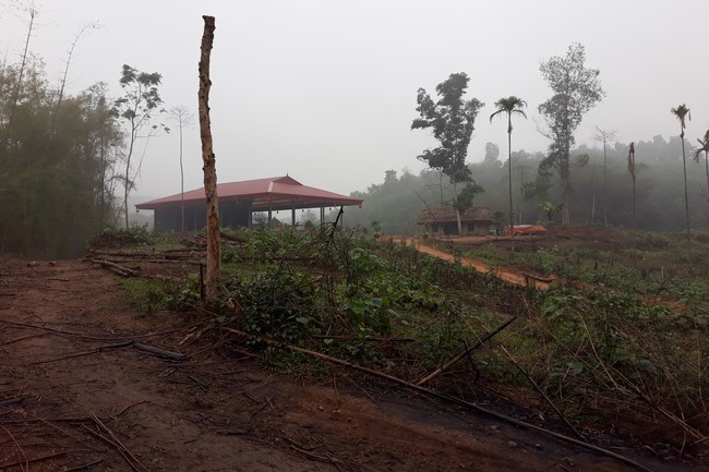 Year-end party, Ritual of putting the Buddha statue and Setting up pole tree at Dai Co Viet pagoda