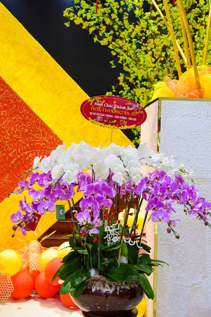 Monks and Buddhists wish a Happy Tet Most Thich Chan Tinh