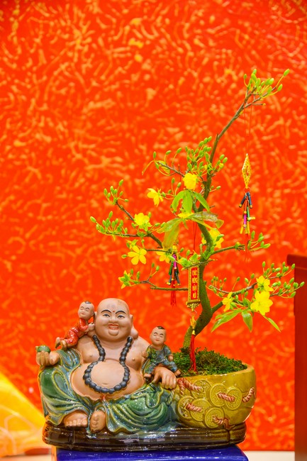 Monks and Buddhists wish a Happy Tet Most Thich Chan Tinh