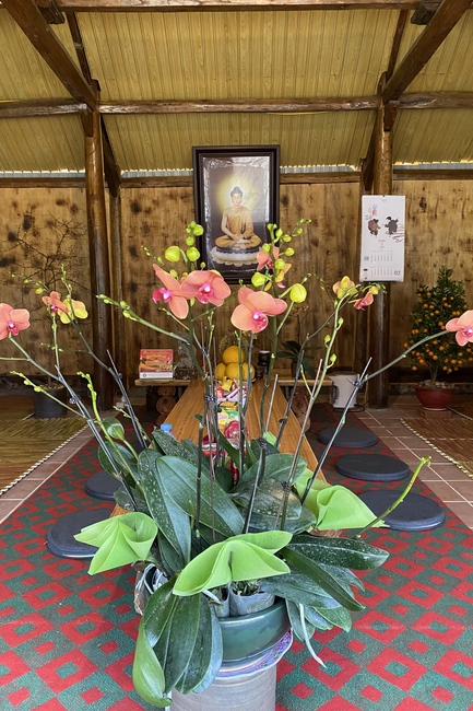 Chùa Đại Cồ Việt: Công tác chuẩn bị đón xuân Nhâm Dần