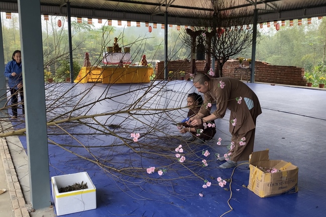 Chùa Đại Cồ Việt: Công tác chuẩn bị đón xuân Nhâm Dần