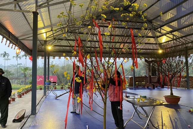 Chùa Đại Cồ Việt: Công tác chuẩn bị đón xuân Nhâm Dần