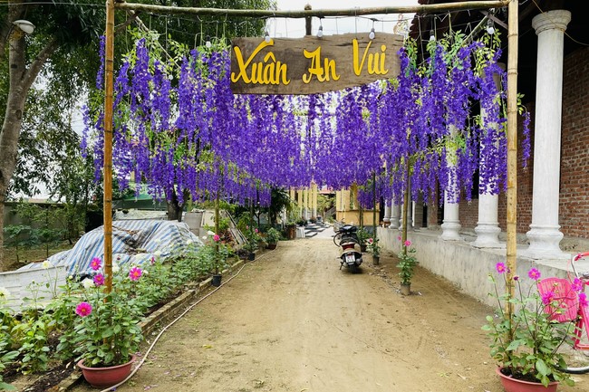 Affairs preparing for Lunar New Year at Vinh Phuc Pagoda