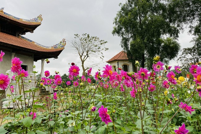 Affairs preparing for Lunar New Year at Vinh Phuc Pagoda