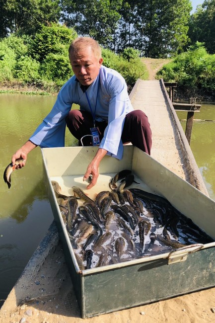 One - Day Retreat at Dong Cao pagoda