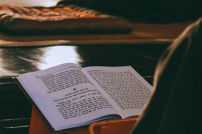 Chùa Hoà Phúc: Cộng tu xuất gia gieo duyên