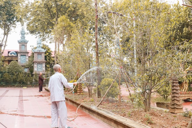 Chùa Hoà Phúc: Cộng tu xuất gia gieo duyên