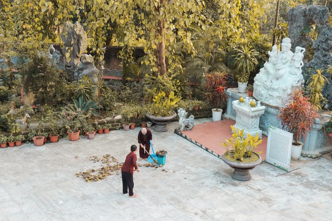 Chùa Hoà Phúc: Cộng tu xuất gia gieo duyên