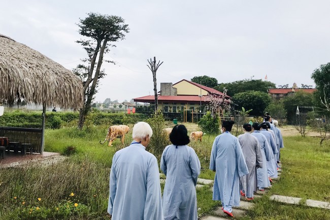 Chùa Đống Cao, Thanh Hoá: Khai mạc khoá tu Hồi Quang Phản Chiếu lần 3