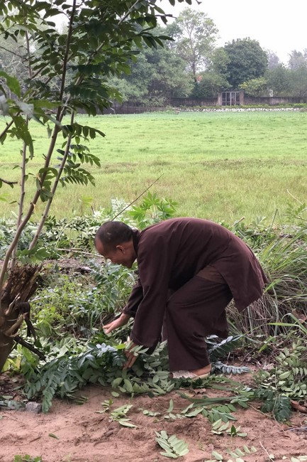 One - day Retreat at Van Dai Phuoc Temple - Ha Tinh