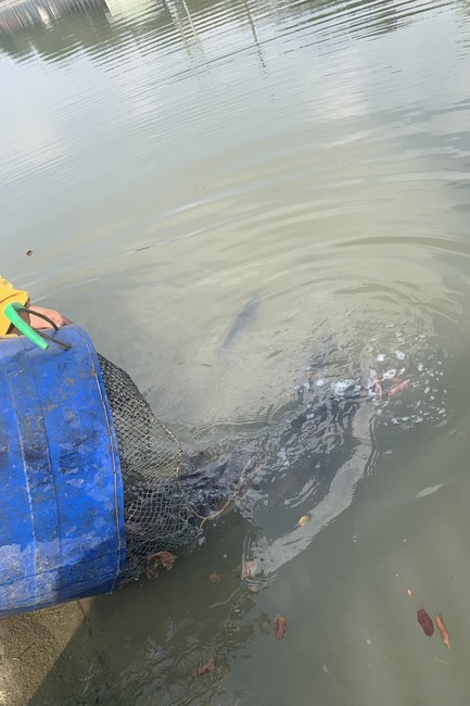 The charity on the full moon day of lunar October at Dong Cao Pagoda
