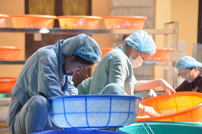 Công tác chuẩn bị lễ giỗ Tổ