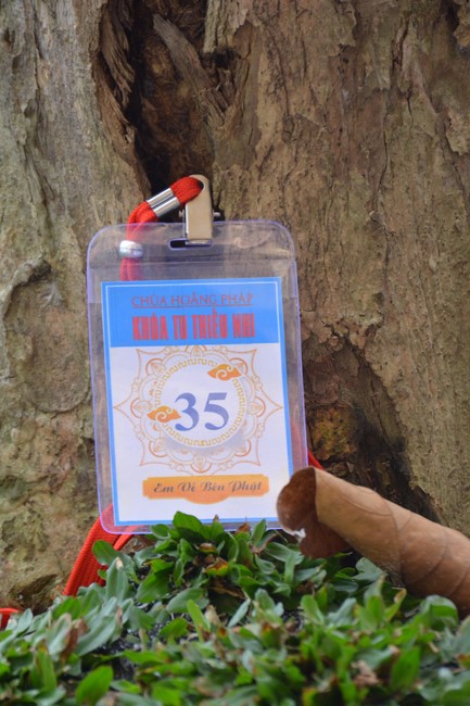 The 38th Kid Playground