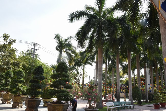 Viếng thăm các chùa ở Hóc Môn, Thủ Đức, Q2 TP. HCM