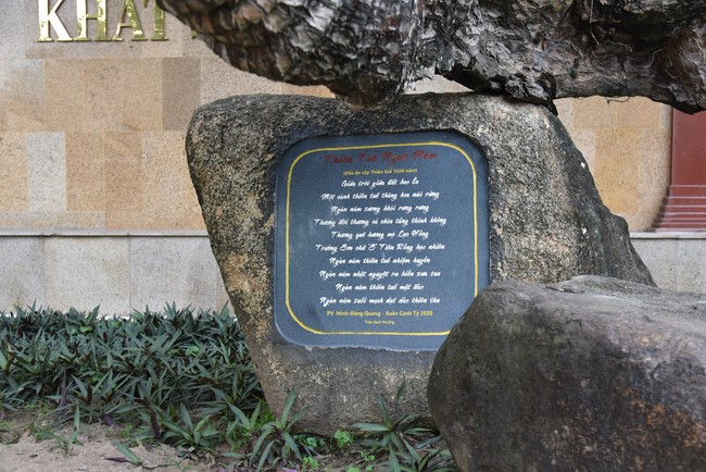 Viếng thăm các chùa ở Hóc Môn, Thủ Đức, Q2 TP. HCM