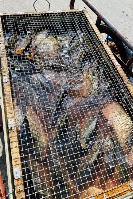 Charity activities towards Buddha's Enlightenment Day at Dong Cao Pagoda, Thanh Hoa