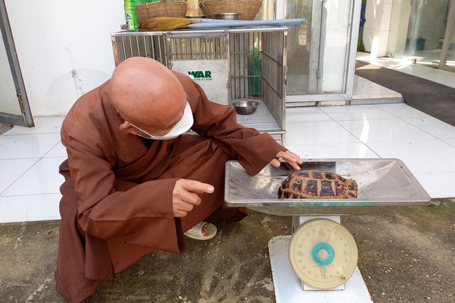 The Rite Praying for Peace at Dau Tieng Wildlife Conservation Station in Binh Duong