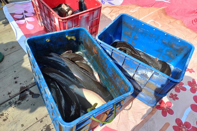 The Rite Praying for Peace at Dau Tieng Wildlife Conservation Station in Binh Duong
