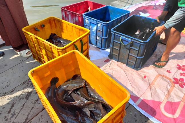 The Rite Praying for Peace at Dau Tieng Wildlife Conservation Station in Binh Duong