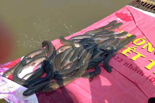 The Rite Praying for Peace at Dau Tieng Wildlife Conservation Station in Binh Duong