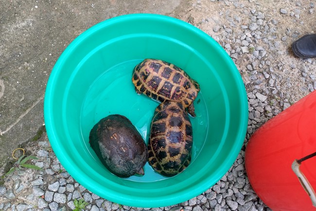 The Rite Praying for Peace at Dau Tieng Wildlife Conservation Station in Binh Duong