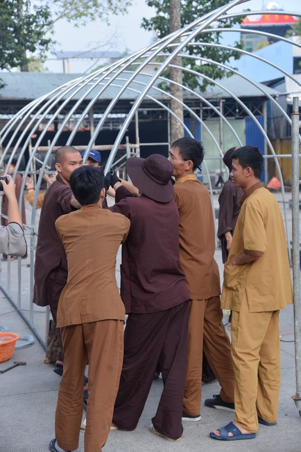 Preparation Activities to Welcome Year of Cat