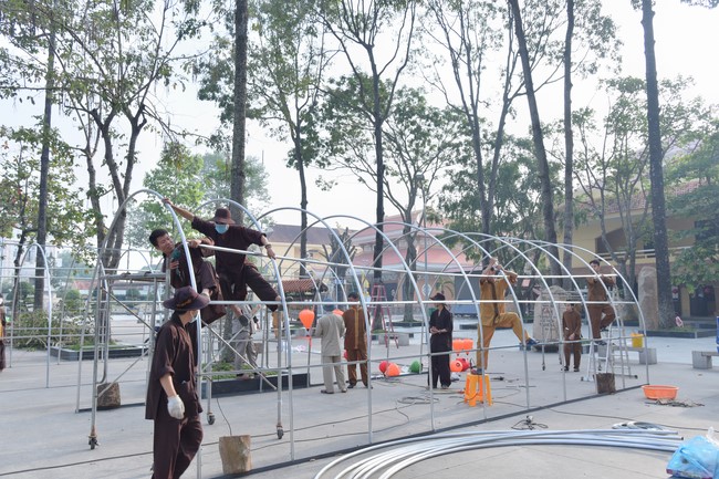 Preparation Activities to Welcome Year of Cat