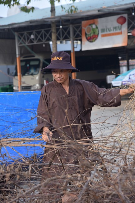 Preparation Activities to Welcome Year of Cat