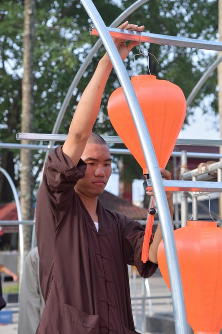 Preparation Activities to Welcome Year of Cat