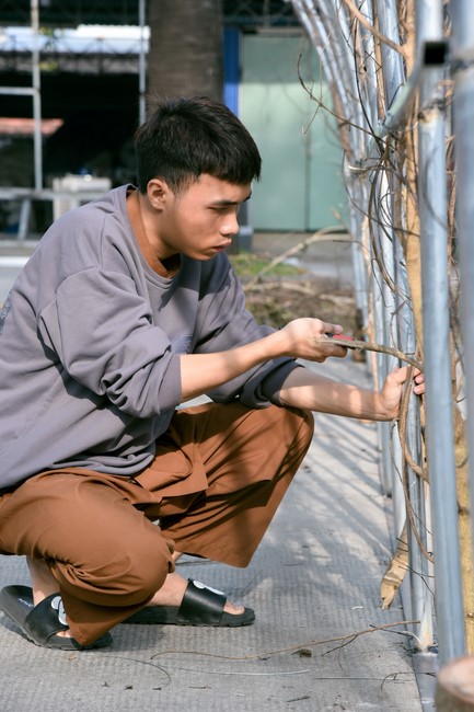 Preparation Activities to Welcome Year of Cat