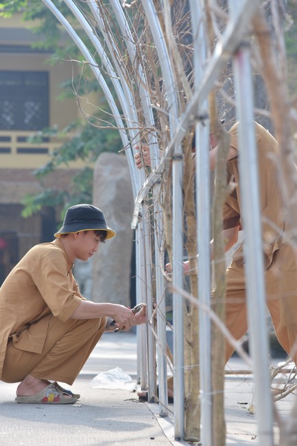 Preparation Activities to Welcome Year of Cat