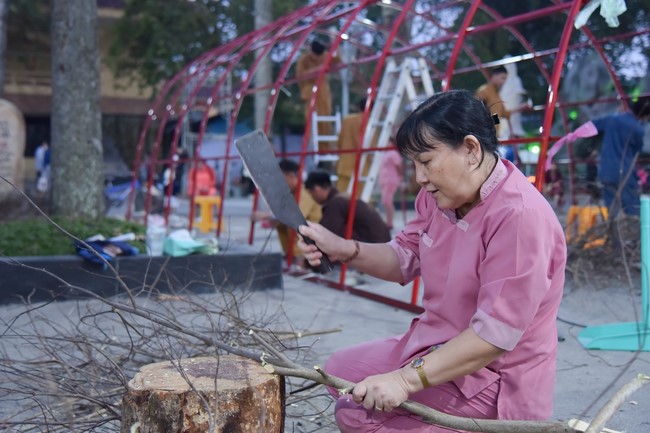 Preparation Activities to Welcome Year of Cat