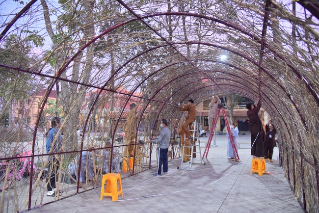 Preparation Activities to Welcome Year of Cat