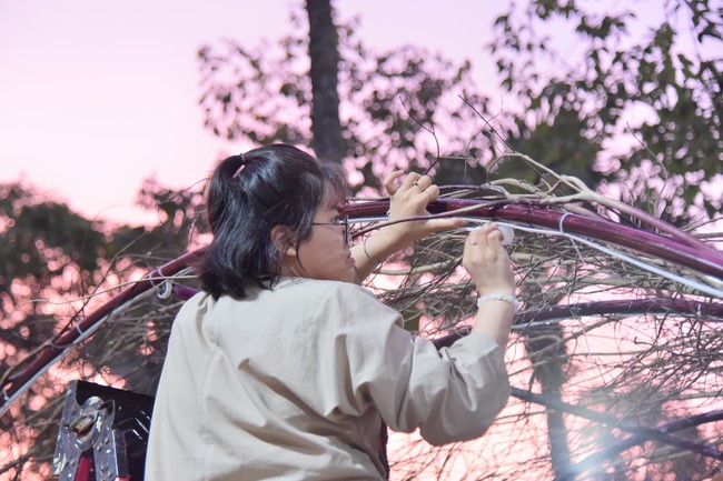 Preparation Activities to Welcome Year of Cat