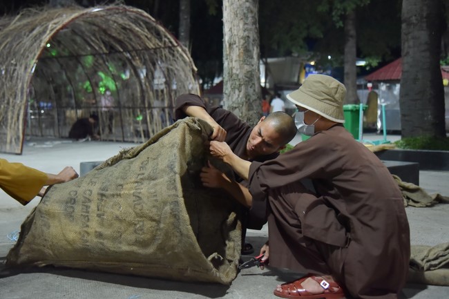 Preparation Activities to Welcome Year of Cat