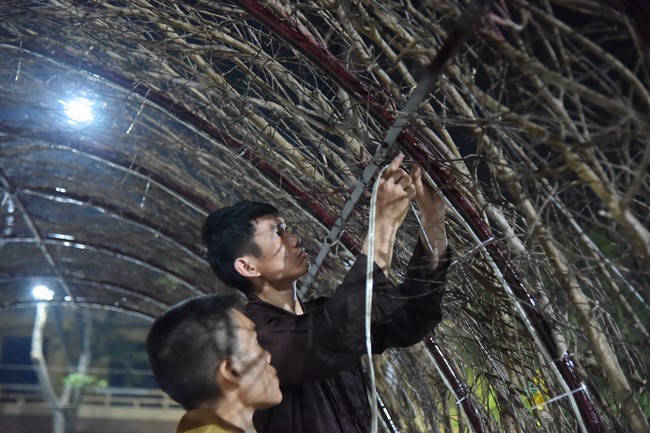 Preparation Activities to Welcome Year of Cat
