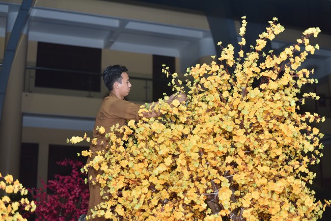 Preparation Activities to Welcome Year of Cat