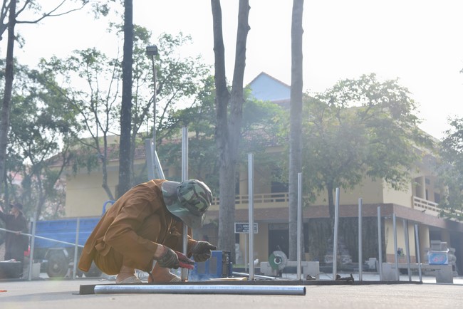 Preparation Activities to Welcome Year of Cat