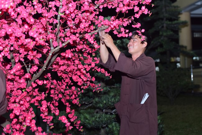 Preparation Activities to Welcome Year of Cat