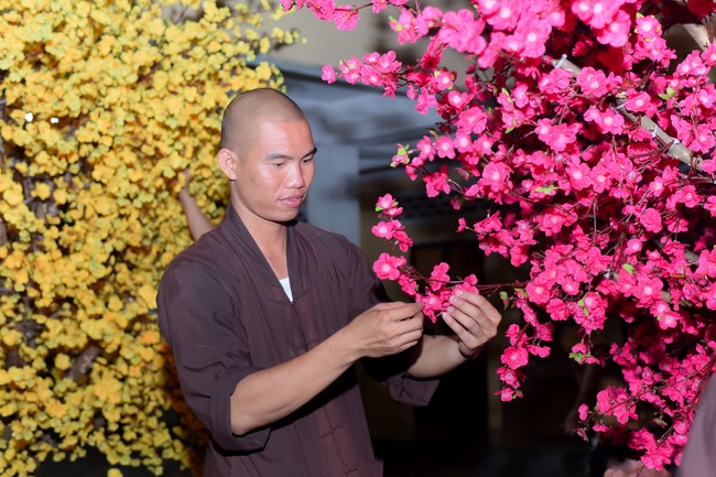 Preparation Activities to Welcome Year of Cat